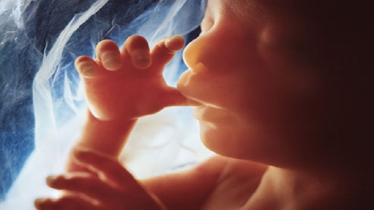  Прекрасни фотографии – од зачнување до раѓање