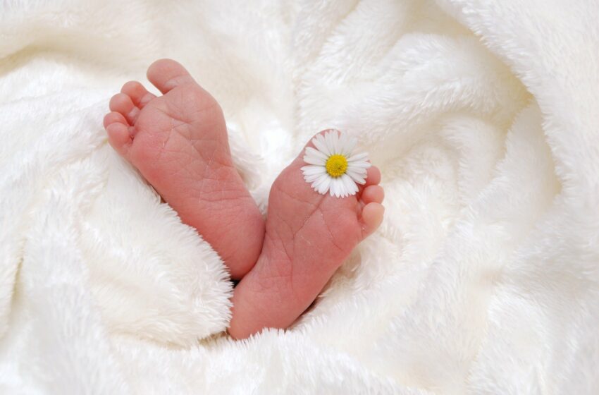  Породување под хипноза е вистински благодат за мајката и бебето